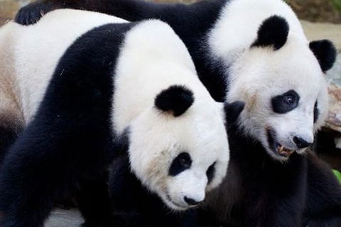 Adelaide City Tour With Optional River Cruise And Adelaide Zoo Admission - Sunshine Coast Tourism 1