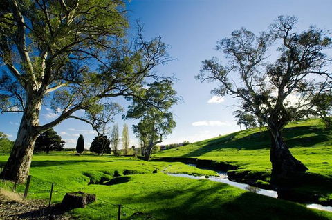 Adelaide Highlights And Hahndorf Tour With Optional River Cruise - Sunshine Coast Tourism 0