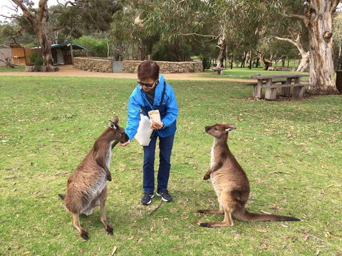 Adelaide Highlights And Hahndorf Tour With Optional River Cruise - Sunshine Coast Tourism 3