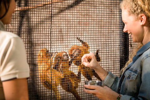 Adelaide Zoo Behind The Scenes Experience: Meet The Primates - Sunshine Coast Tourism 0