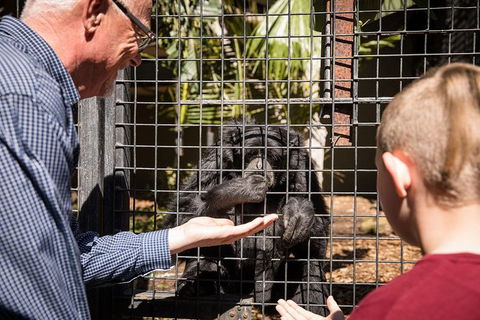 Adelaide Zoo Behind The Scenes Experience: Meet The Primates - Sunshine Coast Tourism 1
