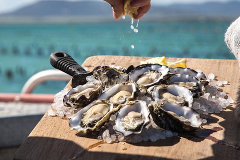 Experience Coffin Bay Short And Sweet Oyster Farm Tour - Holiday Sunshine Coast 0