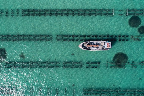 Experience Coffin Bay Short And Sweet Oyster Farm Tour - Holiday Sunshine Coast 1