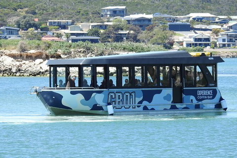 Experience Coffin Bay Short And Sweet Oyster Farm Tour - Holiday Sunshine Coast 9