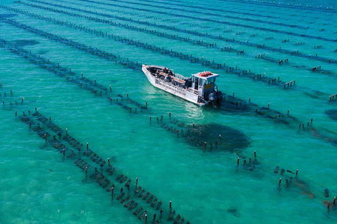 Experience Coffin Bay Short And Sweet Oyster Farm Tour - Holiday Sunshine Coast 7