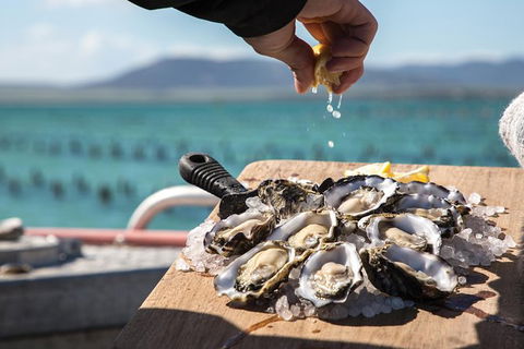 Experience Coffin Bay Oyster Farm And Bay Tour - Sunshine Coast Tourism 0