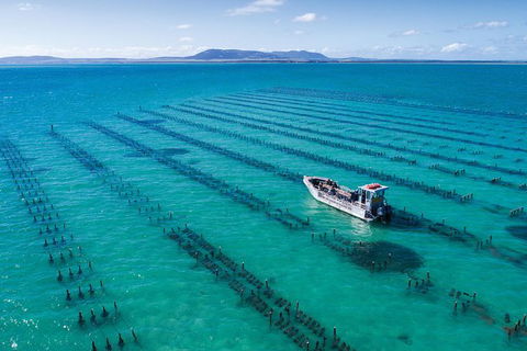 Experience Coffin Bay Oyster Farm And Bay Tour - Sunshine Coast Tourism 1