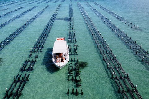 Experience Coffin Bay Oyster Farm And Bay Tour - Sunshine Coast Tourism 8