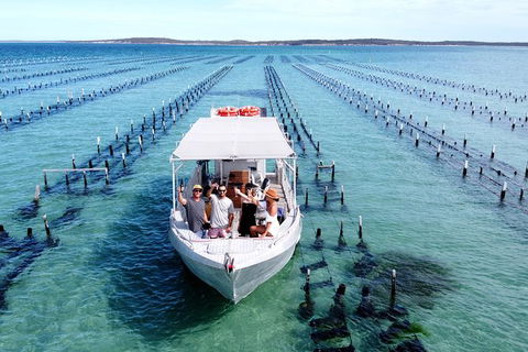 Experience Coffin Bay Oyster Farm And Bay Tour - Sunshine Coast Tourism 12