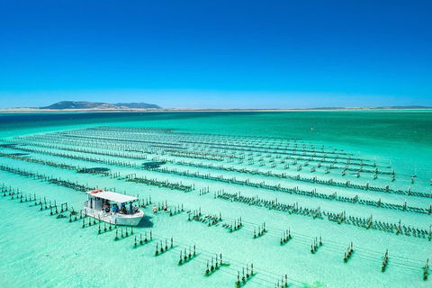 Experience Coffin Bay Oyster Farm And Bay Tour - Sunshine Coast Tourism 7