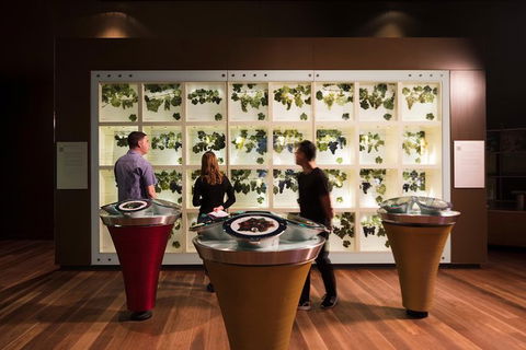 Australian Wine Discovery Tour Ticket - Sunshine Coast Tourism 5