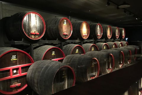 The Ultimate Penfolds Magill Estate Wine & Underground Cellar Tour - Sunshine Coast Tourism 6
