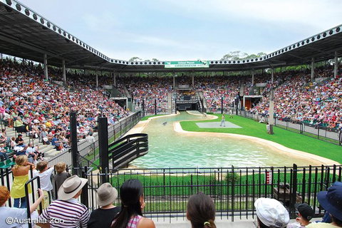 Croc Express To Australia Zoo From Brisbane - Sunshine Coast Tourism 12
