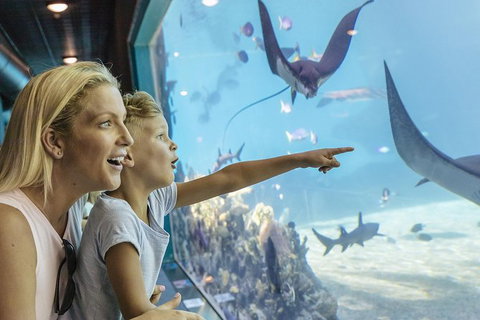 Gold Coast Theme Park Pass: Warner Bros. Movie World, Sea World And Wet'n'Wild - Sunshine Coast Tourism 1