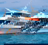 Poseidon Outer Great Barrier Reef Snorkeling and Diving Cruise from Port Douglas - Holiday Sunshine Coast
