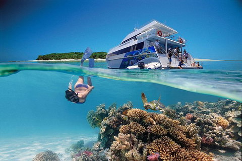 3-Day Southern Great Barrier Reef Tour Including Lady Musgrave Island - Sunshine Coast Tourism 0