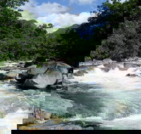 Daintree Rainforest Cape Tribulation Mossman Gorge in a day - Holiday Sunshine Coast