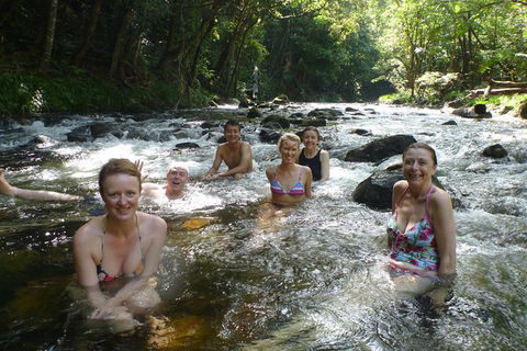 Daintree Rainforest, Cape Tribulation, Mossman Gorge In A Day - Holiday Sunshine Coast 10