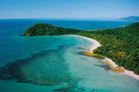Daintree Rainforest, Cape Tribulation, Mossman Gorge In A Day - Holiday Sunshine Coast 6
