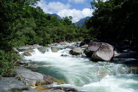 Daintree Rainforest, Cape Tribulation, Mossman Gorge In A Day - Holiday Sunshine Coast 2