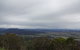 Springbrook AndTamborine Rainforest Tour Incl Natural Bridge And Glow Worm Cave - thumb 7