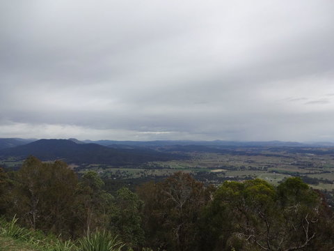 Springbrook AndTamborine Rainforest Tour Incl Natural Bridge And Glow Worm Cave - Sunshine Coast Tourism 7