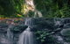 Springbrook AndTamborine Rainforest Tour Incl Natural Bridge And Glow Worm Cave - thumb 1