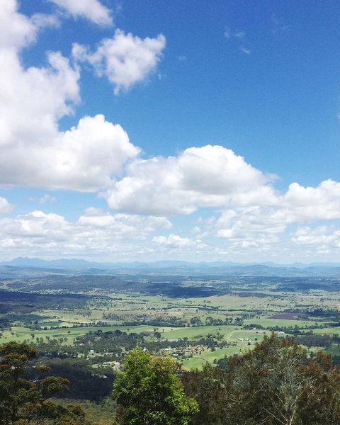 Springbrook AndTamborine Rainforest Tour Incl Natural Bridge And Glow Worm Cave - Sunshine Coast Tourism 5