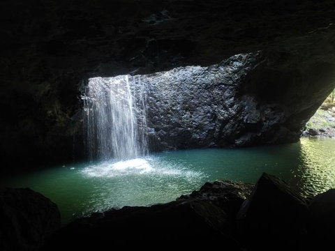 Springbrook AndTamborine Rainforest Tour Incl Natural Bridge And Glow Worm Cave - Sunshine Coast Tourism 2
