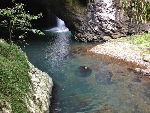 Springbrook AndTamborine Rainforest Tour Incl Natural Bridge And Glow Worm Cave - Sunshine Coast Tourism 6