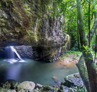 Springbrook andTamborine Rainforest Tour Incl Natural Bridge and Glow Worm Cave - Sunshine Coast Tourism