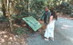 Springbrook AndTamborine Rainforest Tour Incl Natural Bridge And Glow Worm Cave - thumb 16