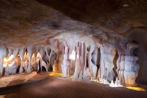 Springbrook AndTamborine Rainforest Tour Incl Natural Bridge And Glow Worm Cave - Sunshine Coast Tourism 9