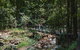 Springbrook AndTamborine Rainforest Tour Incl Natural Bridge And Glow Worm Cave - thumb 19