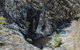 Springbrook AndTamborine Rainforest Tour Incl Natural Bridge And Glow Worm Cave - thumb 15