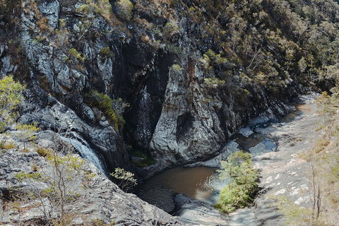 Springbrook AndTamborine Rainforest Tour Incl Natural Bridge And Glow Worm Cave - Sunshine Coast Tourism 15
