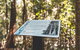Springbrook AndTamborine Rainforest Tour Incl Natural Bridge And Glow Worm Cave - thumb 14