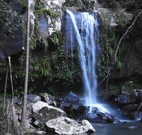 You Choose the Tour Brisbane Private Chauffeur Driven Personal Tour - Sunshine Coast Tourism