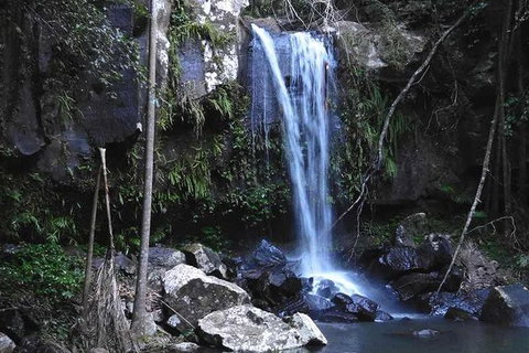 You Choose The Tour: Brisbane Private Chauffeur Driven Personal Tour - Sunshine Coast Tourism 0