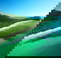 Cape Tribulation Mossman Gorge and Daintree Rainforest Day Trip from Cairns or Port Douglas - Sunshine Coast Tourism