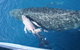 Whale Watching Cruise From Redcliffe, Brisbane Or The Sunshine Coast - thumb 7