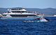 Whale Watching Cruise From Redcliffe, Brisbane Or The Sunshine Coast - thumb 2
