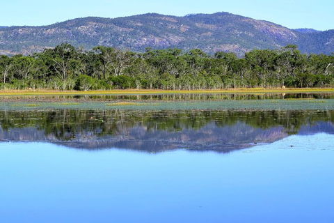 Daintree - Cape Tribulation & Atherton Tablelands Tours From Port Douglas - Holiday Sunshine Coast 13