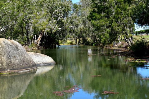 Daintree - Cape Tribulation & Atherton Tablelands Tours From Port Douglas - Holiday Sunshine Coast 28