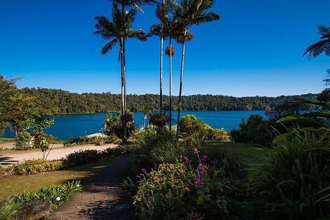 Daintree - Cape Tribulation & Atherton Tablelands Tours From Port Douglas - Holiday Sunshine Coast 25