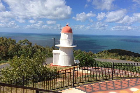 Daintree - Cape Tribulation & Atherton Tablelands Tours From Port Douglas - Holiday Sunshine Coast 21