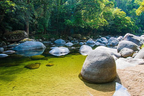 Daintree - Cape Tribulation & Atherton Tablelands Tours From Port Douglas - Holiday Sunshine Coast 6