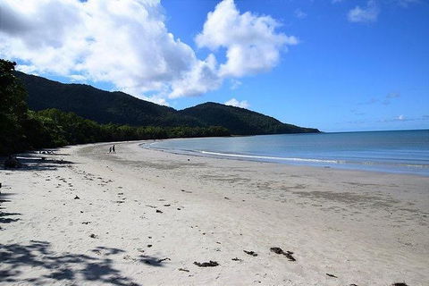 Daintree - Cape Tribulation & Atherton Tablelands Tours From Port Douglas - Holiday Sunshine Coast 18