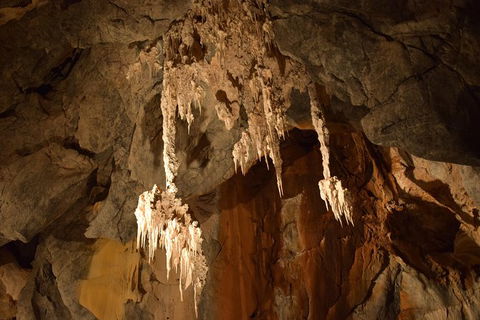 Daintree - Cape Tribulation & Atherton Tablelands Tours From Port Douglas - Holiday Sunshine Coast 23