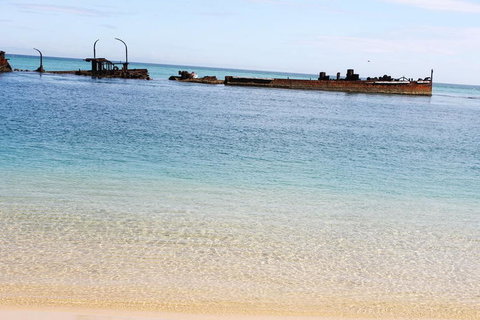 Moreton Island Snorkel And Sandboarding 4WD Day Trip From Brisbane - Sunshine Coast Tourism 3